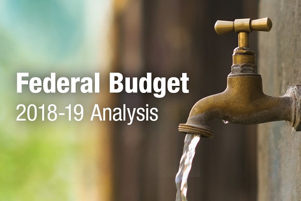 Budget analysis